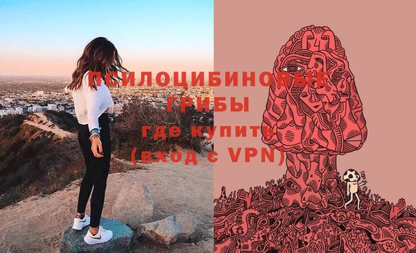 стафф Волоколамск