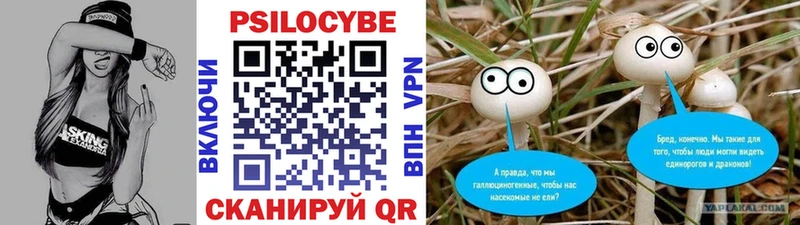Галлюциногенные грибы GOLDEN TEACHER omg tor Пятигорск